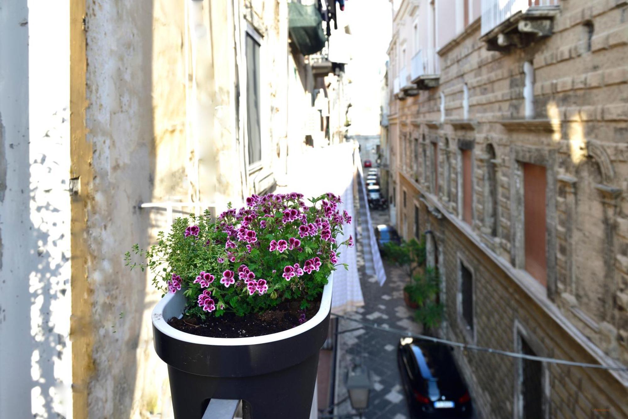Ciaobari Apartment - Elegant 4 Bedrooms In The Heart Of Old Town Εξωτερικό φωτογραφία